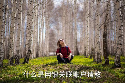 網(wǎng)銀互聯(lián)賬戶是什么意思，什么是網(wǎng)銀關(guān)聯(lián)賬戶請(qǐng)教
