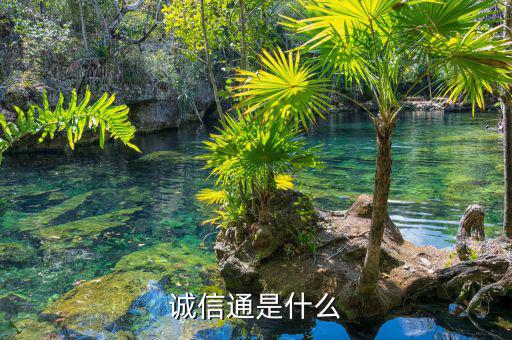 e錢包是什么，Epay 是什么意識