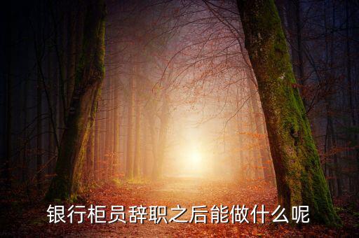 銀行辭職后做什么，銀行柜員辭職之后能做什么呢