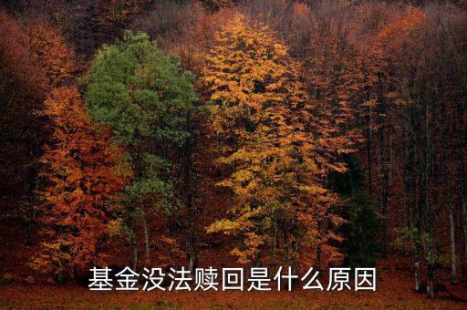 為什么基金不能贖回，為什么我的基金不能贖回