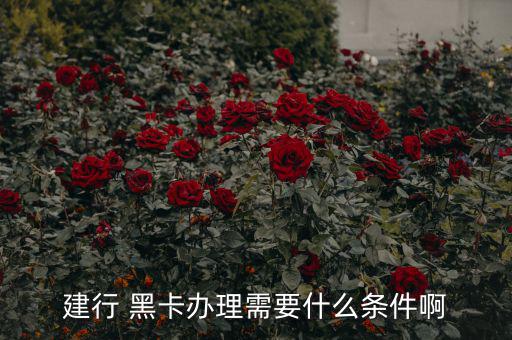 怎么辦銀行黑卡,農(nóng)銀行鉆石卡需滿(mǎn)足以下條件