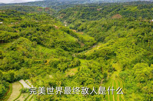 什么是對手盤，完美世界最終敵人是什么