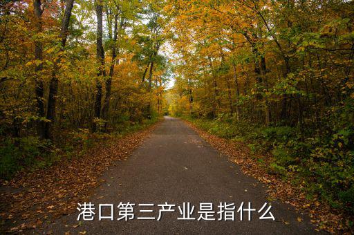 什么是第三產(chǎn)業(yè)，港口第三產(chǎn)業(yè)是指什么