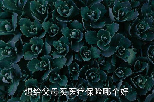 給父母買什么醫(yī)療保險(xiǎn)好，想給父母買醫(yī)療保險(xiǎn)哪個(gè)好
