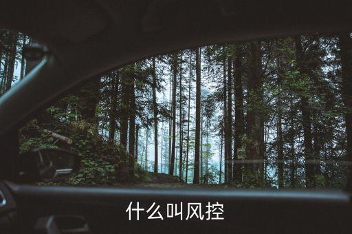 易到風控什么意思，什么叫風控