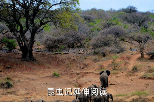 什么是延伸閱讀，昆蟲記延伸閱讀