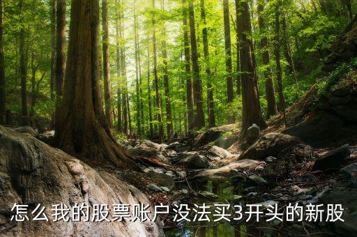 3開頭的股票為什么不能買，請問新開戶的股民為什么不能買3字開頭的股票