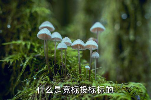 什么是投標(biāo)標(biāo)的，投標(biāo)的標(biāo)項(xiàng)是什么