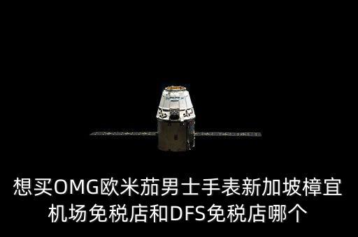 想買(mǎi)OMG歐米茄男士手表新加坡樟宜機(jī)場(chǎng)免稅店和DFS免稅店哪個(gè)