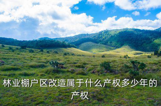 什么是林業(yè)棚戶區(qū)，請問蛟河林業(yè)棚戶區(qū)建造的樓房為什么收取物業(yè)費會和取暖費捆綁在一