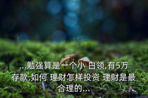 ...勉強(qiáng)算是一個小 白領(lǐng),有5萬存款,如何 理財(cái)怎樣投資 理財(cái)是最合理的...