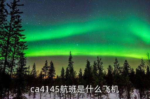國航333是什么機(jī)型，飛機(jī)機(jī)型333怎么樣