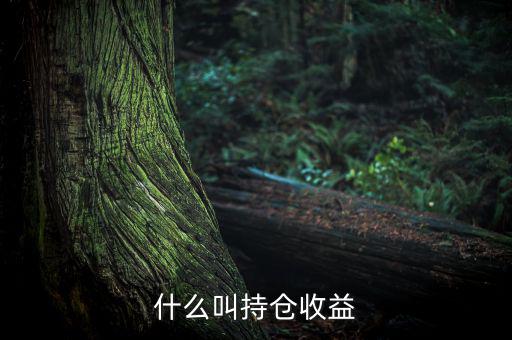 理財(cái)里的持倉(cāng)收益是什么意思，基金 持倉(cāng)收益7579 是什么意思啊 本人是新手