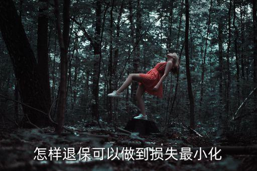 怎樣退?？梢宰龅綋p失最小化