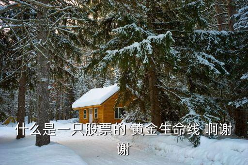 什么是股市生命線，什么是一只股票的 黃金生命線 啊謝謝