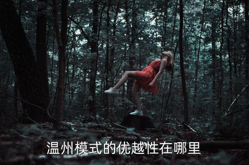 溫州模式為什么具有很強(qiáng)的經(jīng)濟(jì)性，溫州模式取得成功的原因6分題