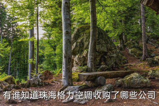格力收購(gòu)什么，有誰(shuí)知道珠海格力空調(diào)收購(gòu)了哪些公司