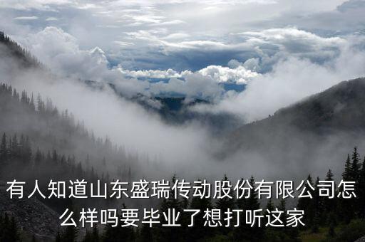 盛瑞企業(yè)是干什么的，南京銳盛互聯(lián)網(wǎng)科技有限公司主要是做什么的