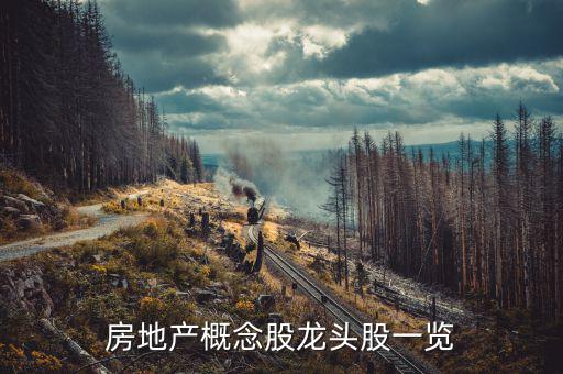 地產(chǎn)業(yè)有什么股票，房地產(chǎn)股票有哪些
