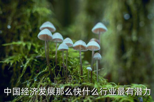 未來中國經濟什么行業(yè)可以，中國經濟發(fā)展那么快什么行業(yè)最有潛力