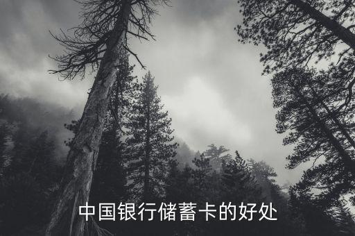 中國(guó)銀行存蓄卡有什么好處，中國(guó)銀行儲(chǔ)蓄卡的好處