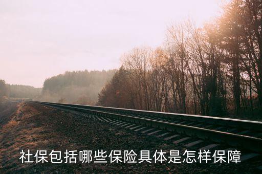 社保有什么保障，社保究竟保些什么