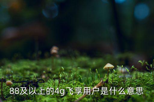 4g用戶是什么意思，88及以上的4g飛享用戶是什么意思