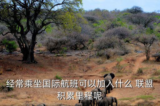 星空聯(lián)盟積分怎么算,南航、東航可通過明珠卡共享積分等