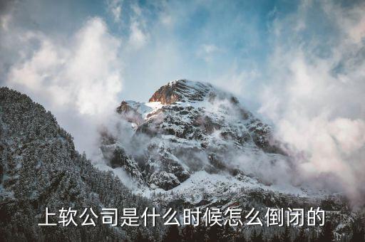 quicksilver什么時候破產(chǎn)，上軟公司是什么時候怎么倒閉的