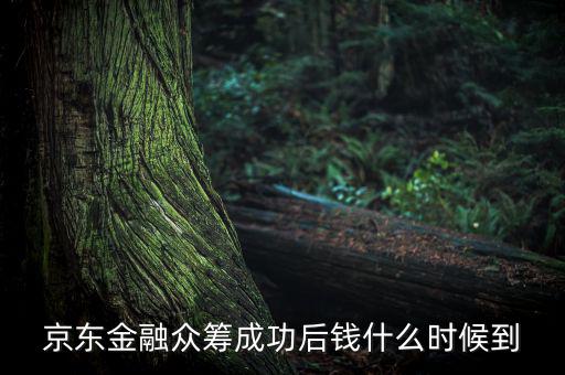 京東金融活動(dòng)什么時(shí)候結(jié)束，金條的活動(dòng)什么時(shí)候結(jié)束啊