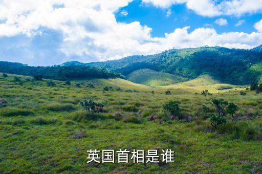 卡梅倫什么時候上任，英國首相是誰