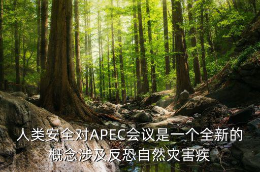 2014apec峰會簽署了什么文件，亞洲和太平洋地區(qū)經(jīng)濟(jì)合作會議簡稱 APEC