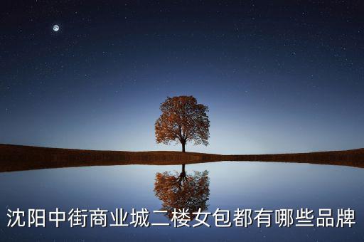 中街商業(yè)城都有什么品牌，沈陽中街商業(yè)城二樓女包都有哪些品牌