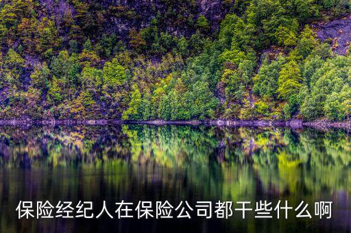 保險經紀人在保險公司都干些什么啊