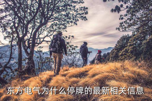 中國為什么退出蘇聯(lián)東方集團，東方集團為什么停盤