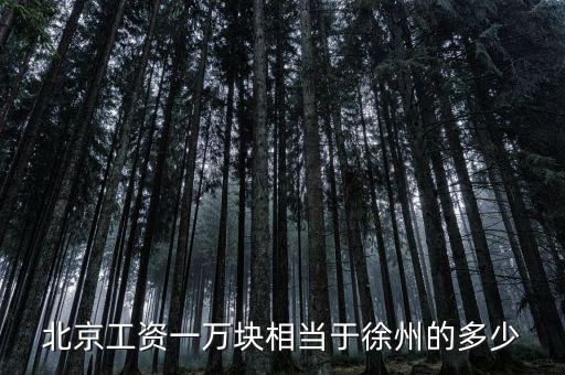 北京月薪1萬什么概念，在北京月薪1萬算高嗎