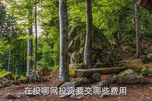 投哪網管理費什么時候收取，投哪網收手續(xù)費嗎