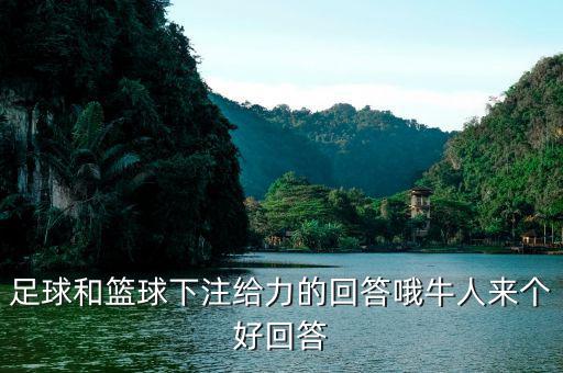 投資足球籃球有什么回報(bào)，足球和籃球下注給力的回答哦牛人來個(gè)好回答