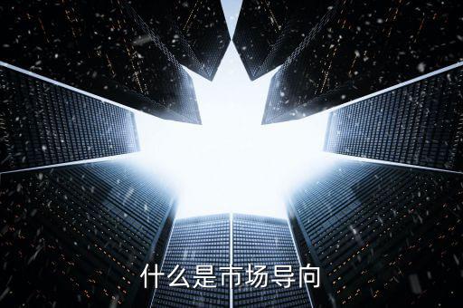 什么叫市場(chǎng)導(dǎo)向機(jī)制，什么是市場(chǎng)導(dǎo)向