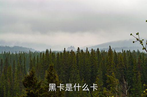 銀行卡黑卡是什么級別，黑卡是什么卡
