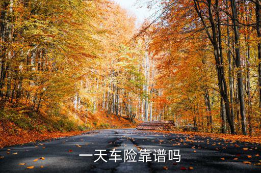 一天車險是什么，一天車險怎么停駛才有錢