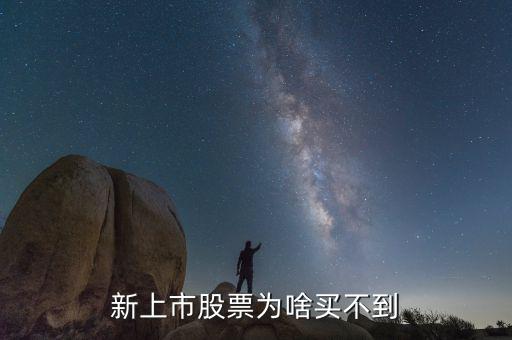 為什么買(mǎi)不了新股，新股申購(gòu)為什么買(mǎi)不了