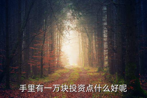 一萬元做什么投資，1萬元創(chuàng)業(yè)投資干什么好