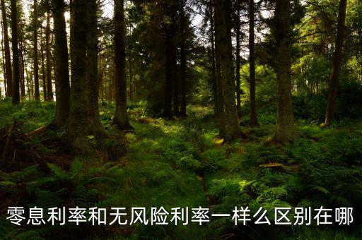 即期利率是什么，定期的利息和國期的利息是什么