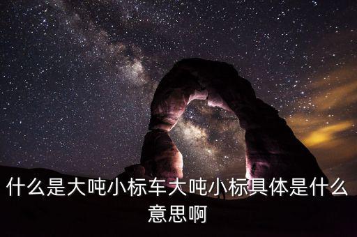 非標(biāo)轉(zhuǎn)標(biāo)是什么意思，上角標(biāo)a是什么意思