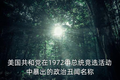 美國(guó)共和黨在1972年總統(tǒng)競(jìng)選活動(dòng)中暴出的政治丑聞名稱(chēng)