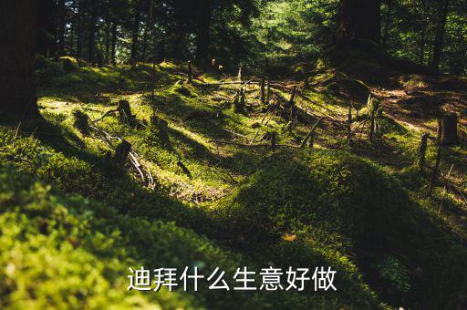 迪拜做什么生意好，國人在迪拜都做什么生意
