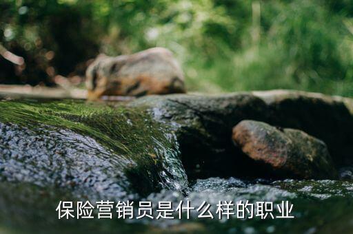保險承銷員是什么，保險營銷員是干什么的