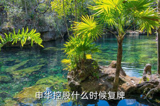 000650什么時(shí)間復(fù)牌，金馬股份什么時(shí)候復(fù)牌