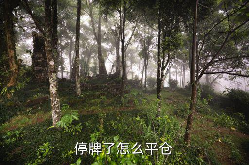 股票黑名單什么意思，股票配售黑名單是什么意思